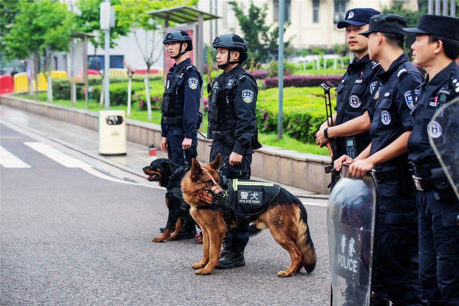 好博（中国）体育智能科技股份有限公司网站