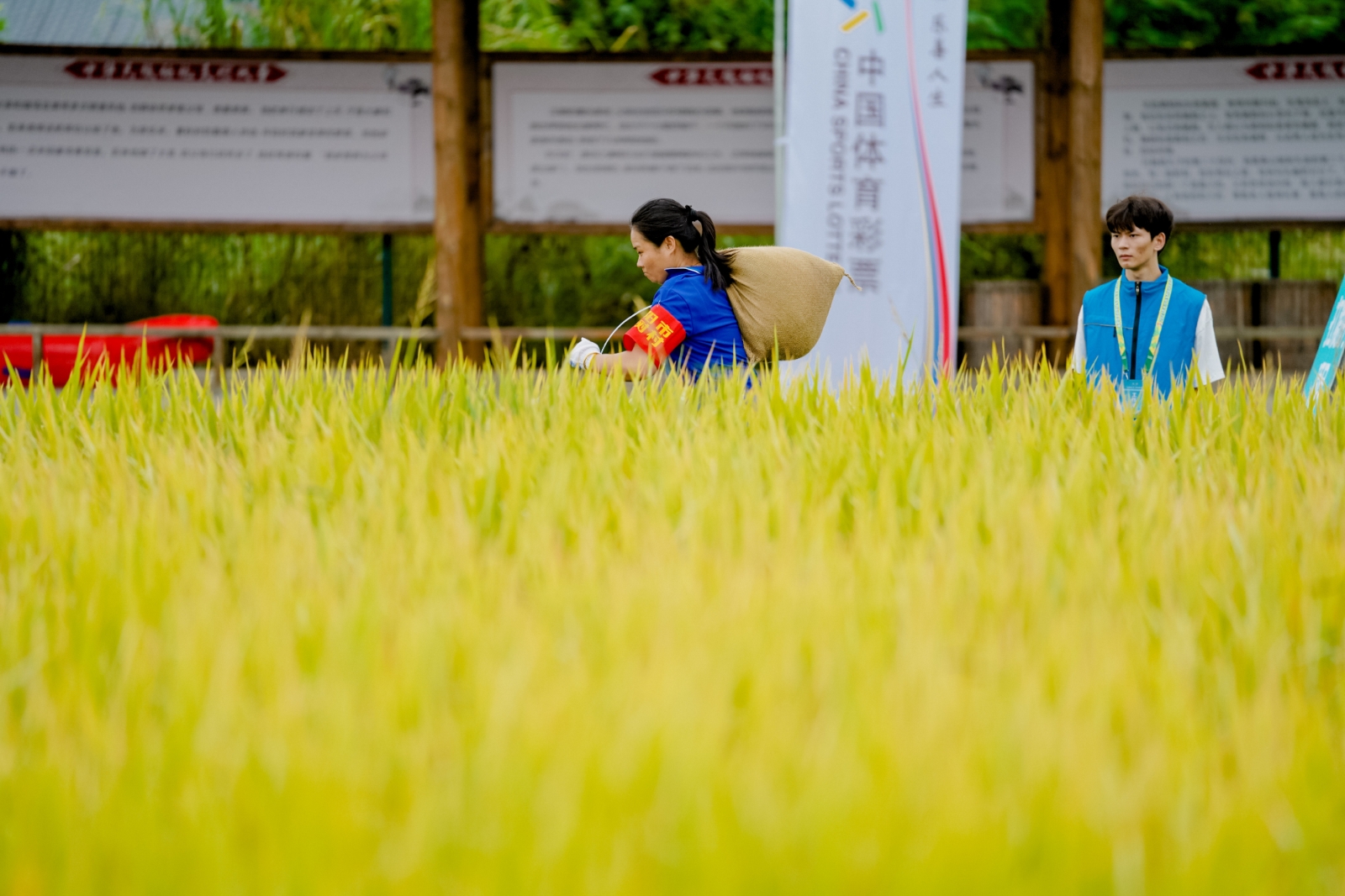 好博(中国)体育智能科技股份有限公司网站